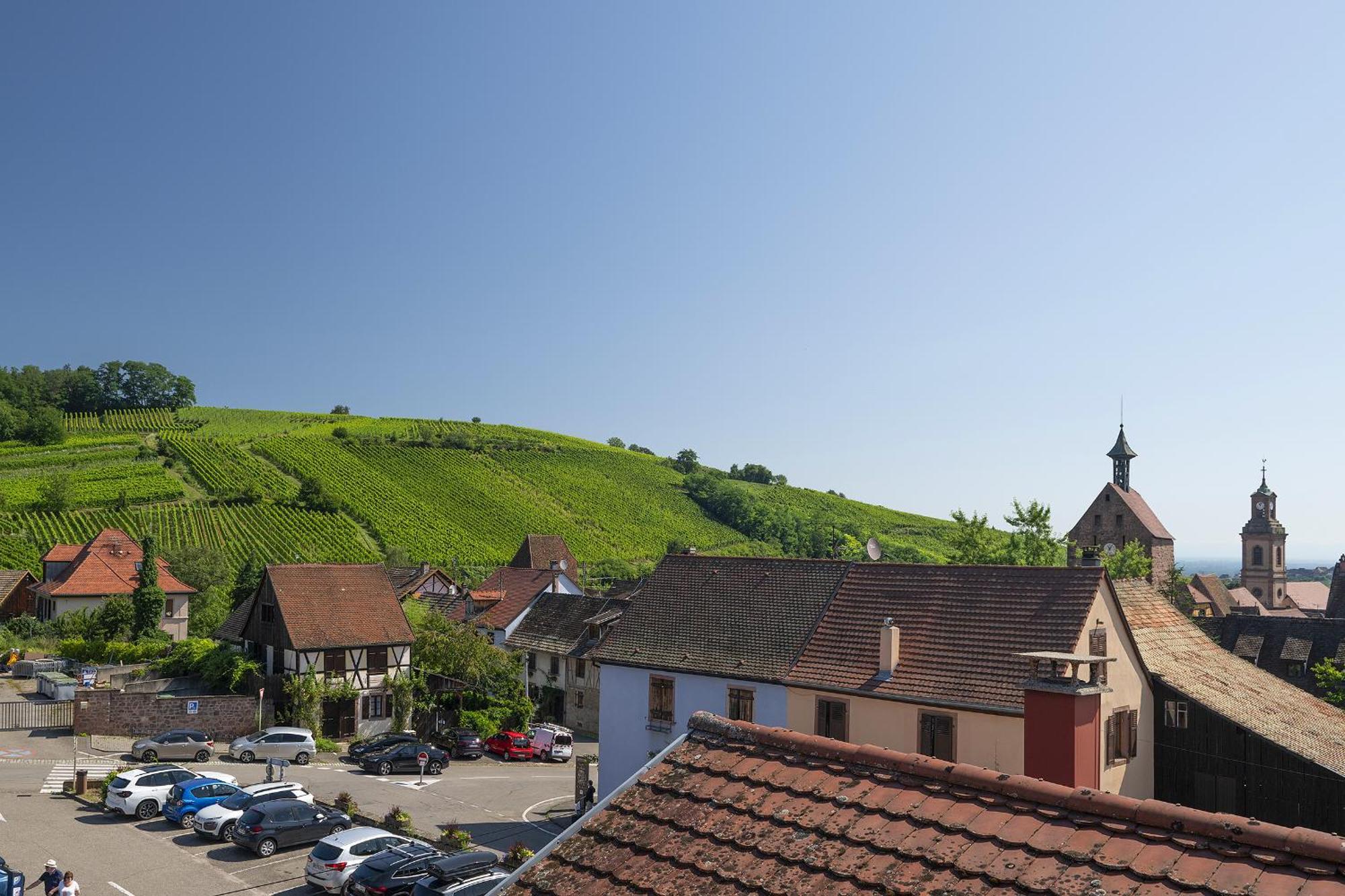 Riesling - Vue Imprenable Sur Le Vignoble - Renove Recemment - Parking Gratuit Διαμέρισμα Ρικβίρ Εξωτερικό φωτογραφία